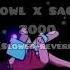 Vowl X Sace 2000 Slowed Reverb