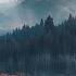 Quiet Melodies For Rainy Day Forest Ambience Calming Music For Relaxation Meditation Peaceful