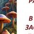 Заселяем всеми грибами пахотные поля и участки 691 24