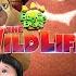 Boonie Bears The Wild Life Full Family Animated Adventure Movie Family Central