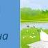 Утки идут на речку Музыка Д Львова Компанейца Слушание музыки в ДОУ Старшая группа