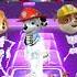 Paw Patrol Transformation Into Skeleton X Coffin Dance Meme Tiles Hop Shorts