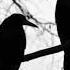 The Three Ravens Medieval English Ballad