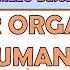 SCIENCE 4 QUARTER 2 WEEK 1 MAJOR ORGANS OF THE HUMAN BODY MELC BASED