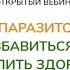 Вебинар КАК ВЫВЕСТИ ПАРАЗИТОВ И ГРИБКОВ ИЗ ОРГАНИЗМА ИЗБАВИТЬСЯ ОТ БОЛЕЗНЕЙ И УКРЕПИТЬ ЗДОРОВЬЕ