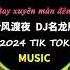 少帅进行曲 折风渡夜 DJ名龙版 泽国同学 斑驳的岁月 从不肯忘却 2024抖音热门音乐