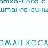 Хатха Йога с элементами Аштанги Виньяса йоги Роман Косарев