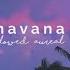 Camila Cabello Havana Ft Young Thug Slowed Reverb