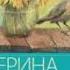 Подсолнухи зимой или Крутая дамочка 2 Вильмонт Екатерин