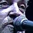 Joe Cocker Shelter Me 1992 Live Video