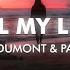 Duke Dumont Panama All My Life Lyrics Visualizer