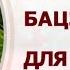 АСТРОПРОГНОЗ 2025 Прогноз по Бацзы для элемента Огонь Ян и Огонь Инь