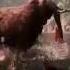 FAR CRY PRIMAL Mammoth Vs Crocodile