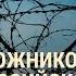 Бунт заключенных в российской колонии подозреваются уроженцы Узбекистана и Таджикистана ВЕЧЕР