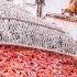 How Shrimp Are Caught Processed From Sea To The Shrimp Processing Factory