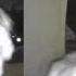 Woman Screams For Her Life On Doorbell Camera Footage