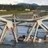 Bridge Collapse In Washington State