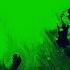 Best Green Screen Ink Splatter Photo Slideshow