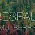 N Bespalov Mulberry