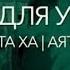 СУРА 20 ТА ХА ТА ХА Омар Хишам Аль Араби красивое чтение корана