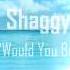 Shaggy Would You Be Ft Brian Thompson