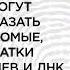 Вэл Макдермид Анатомия преступления Что могут рассказать насекомые отпечатки пальцев и ДНК