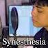 Synesthesia Mayonaise Jenzen Guino Cover