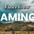 FANCE CREW FLAMINGO REGGAE MIX 2024