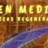 Pancreas Regeneration Energetically Programmed Audio By Sapien Medicine