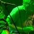 Ty Segall Live Paradiso Amsterdam 03 11 2014