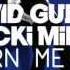 David Guetta Nicky Minaj Turn Me On Extended