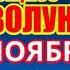 Новолуние 5 ноября 2021 года Тельцы Львы Скорпионы и Водолеи приготовьтесь