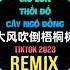 侯泽润 大风吹倒梧桐树 DJEVA版 Gió Lớn Thổi Đổ Cây Ngô Đồng Remix Tiktok Hầu Trạch Nhuận Hot Douyin