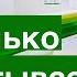 ПВЗ СДЭК Сколько стоит открыть пункт выдачи условия оплаты Бизнес и деньги пункта выдачи СДЕК