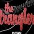 Down Dark Matters Acoustic Sessions The Stranglers