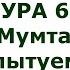 Сура 60 Аль Мумтахана Испытуемая