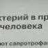 Биология 5 кл 12 Роль бактерий в природе и жизни человека Автор В В Пасечник