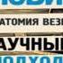 Принцип пуповины Анатомия везения