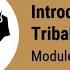 Introduction To Tribal Consultations Module Two