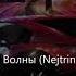 Zivert Зелёные Волны Nejtrino Baur Remix