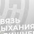 Полезная программа про здоровое похудение при помощи дыхания