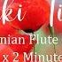 Reiki 2 Minute Timer With Armenian Flute Music 26 X 2 Min Tibetan Bell Timer