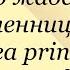 В Гаршин Сказка о жабе и розе Пленница Attalea Princeps Сказание о гордом Аггее