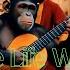 Monkey With Guitar