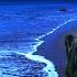 Asleep Naturally With Ocean Sounds Most Relaxing Nature Sounds For Deep Sleeping Praia Santa