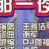 王雅洁 那一夜 Dj阿福版 KTV 导唱字幕 备有伴奏视频