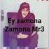 Ey Zamona Zamona Mr3