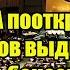 В США пооткрывали рты Лавров выдвинул в ООН судьбоносных 4 шага для спасения Европы