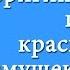 50 красивых простых и оригинальных кормушек для птиц