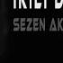 Sezen Aksu Lütfen Görmeyeyim Seni Uğur Yılmaz Remix İkili Delilik